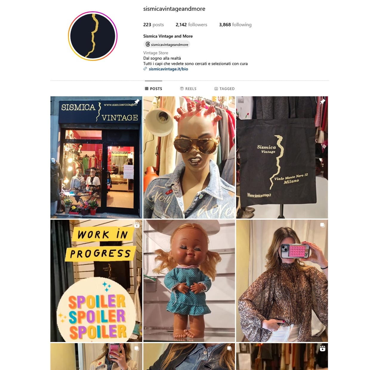 instagram sismicavintageandmore anteprima